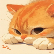 - B ʀ ᴏ ᴄ ᴏ ʟ ı
